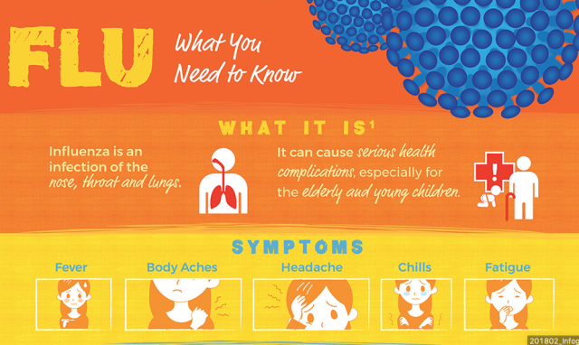 Flu infographic snippet